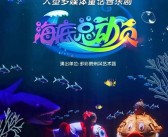 揭开宝贝密码：探索神秘宠物之谜