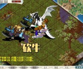 建立深厚羁绊：与宝贝伙伴共同成长