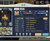 魔力宝贝宠物训练攻略