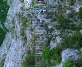 征服挑战王者之路：展现宠物训练师的智谋与勇气