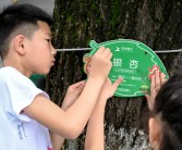 包含聚集能量的小小守护者：魔力宝贝让梦想成真的词条