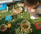 新宝贝发布：探索神秘洞穴，发现稀世珍宝！