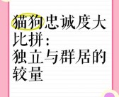 培养默契：培养宠物团队协作精神打败敌人