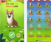 魔力宝贝宠物算档器使用指南：快速上手，轻松管理宠物！