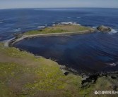 探寻神秘生物：揭开魔力宝贝的面纱