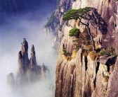 探秘神秘大陆：解锁魔力宝贝的秘密