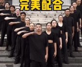 培养宠物之间的默契：达到完美配合