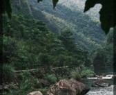 宝贝大冒险：探索神秘的魔法世界