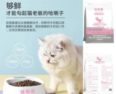 拥有独一无二的宠物伙伴：打造专属团队