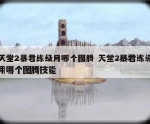 天堂2暴君练级用哪个图腾-天堂2暴君练级用哪个图腾技能