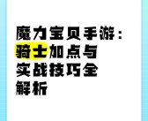 魔力宝贝魔剑士怎么加点好 (法魔)