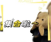 宝贝训练指南：提升技能，迎接挑战的秘籍大揭秘！