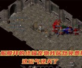 共同成长：创造神奇宠物传奇