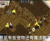 算档神器：魔力宝贝宠物算档器带你玩转游戏！