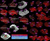 新功能揭秘：魔力百科最新版本更新内容解析！