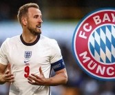 组合最佳阵容：发掘最优秀的宝贝组合