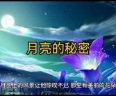 揭开神秘面纱：探寻奥秘之谜