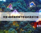 天堂2搬砖搬砖哪个职业的简单介绍