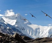 登顶荣耀巅峰：攀登魔法高峰之巅