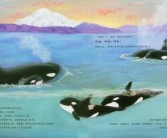 共同成长：书写属于你的宠物传奇