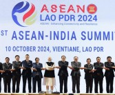 伙伴共成长：携手探索魔法领域