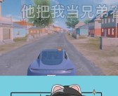 维护和平王国，与宠物并肩作战