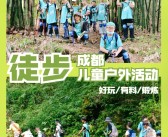 宠物大作战：组建强大团队征服挑战