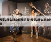 天堂2什么职业后期厉害-天堂2什么职业好玩