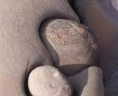 发现奇迹：探索魔力百科网神秘世界！