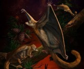 独特宠物探索：揭示神奇生物的奥秘