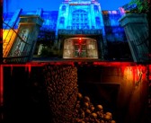 踏进秘境：探索魔法乐园