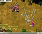 魔力宝贝宠物算档器特色功能介绍：体验定制化宠物管理！