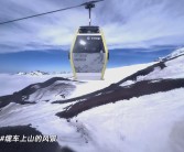 伴侣同行：与好友踏上冒险之旅