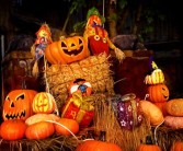 关于揭开科技迷雾，解锁魔力SF发布网的魅力密码的信息