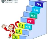 探索魔法之旅：开启神秘的魔法大冒险