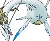 宝贝图鉴大解析：探秘每个宝贝的独特魅力！