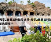 天堂2暴君三转技能选择-天堂2暴君三转技能选择哪个