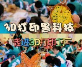 魔力宝贝：探秘未知宝贝的神奇世界