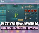 魔力宝贝吓人箱宠物技能攻略解析