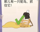 魔力宝贝佣兵传记巨龙关卡攻略解析