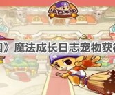 魔力宝贝：解救被困魔法王国的勇者大冒险的简单介绍