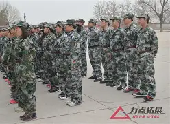 打造强大防线:构建无敌宝贝战队 打造强大防线:构建无敌宝贝战队