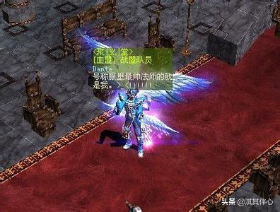 魔力宝贝里的圣导师应该怎么加点呢 魔力宝贝里的圣导师应该怎么加点呢